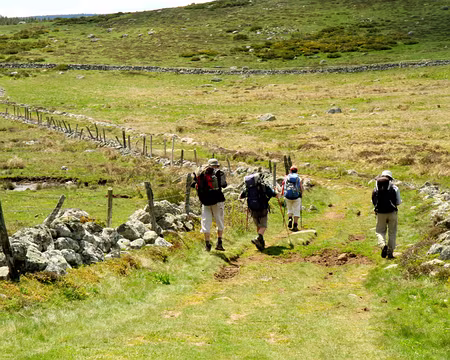 PXL078 drailles d'Aubrac