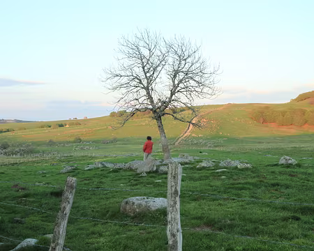 PXL095 un remake de St Jacques-La mecque ?