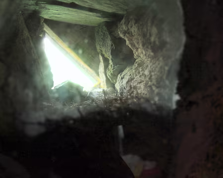 PXL100 mini grotte vitrée pour oiseau