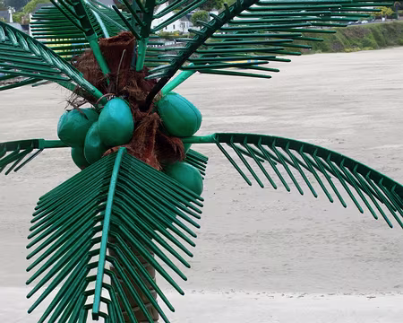 13 Drole de coco..tier