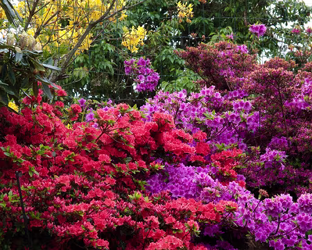 16z819 Couleurs d'un jour bien gris