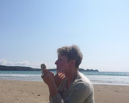 PXL026 Randonnaria Littoralis Elegans (variété à gros pieds)