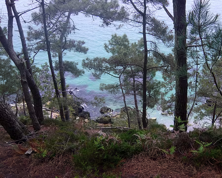 PXL031 Roz an dour, le chemin au dessus de la mer du côté de Morgat.