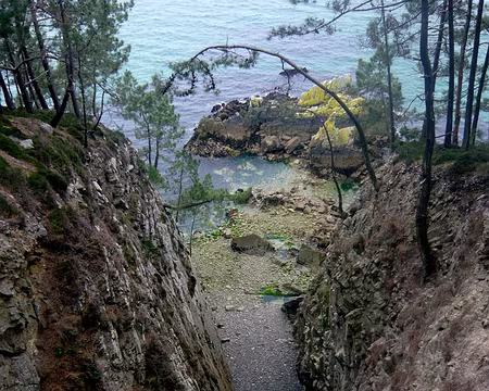 PXL034 Criquette à marée basse