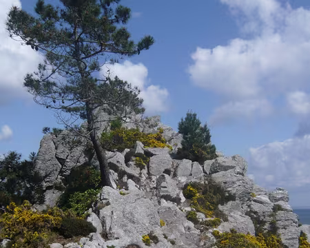 PXL070 Pte de St Hernot