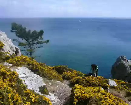 PXL071 île de la Vierge