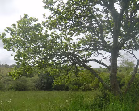 PXL083 Pause comptes