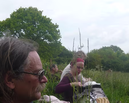 PXL084 Pause lignes de compote