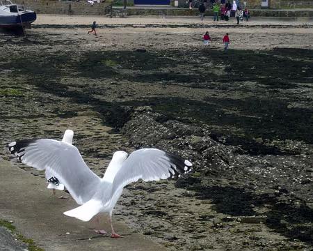 PXL089 Ah ben non, c'était pas le dernier