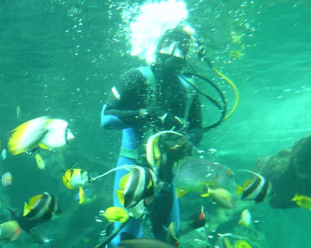 PXL091 Là, c'est moi... Nan, j'déconne.