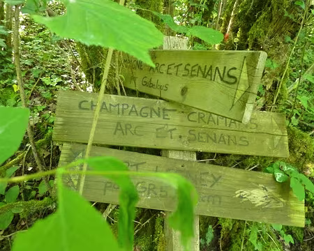 PXL000 C'est par là