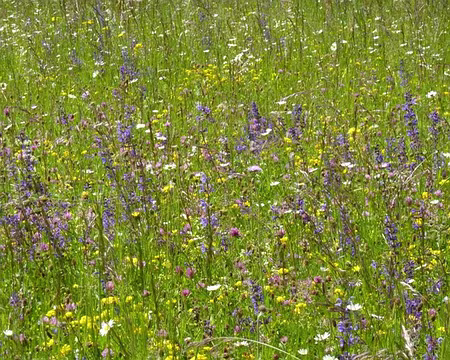 PXL002 Pour fond d'écran