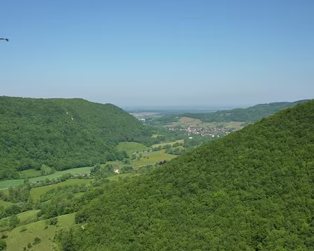 PXL077 Au fond Arbois