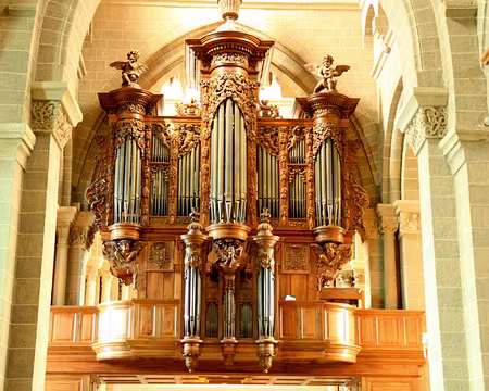 PXL028 Superbe orgue !
