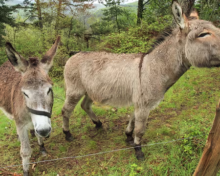 PXL183 on se comprend entre marcheurs !