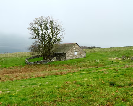 PXL223 le buron du sauvage (que le 2ème groupe n'a pas vu, peu de temps après, il était dans le brouillard !)