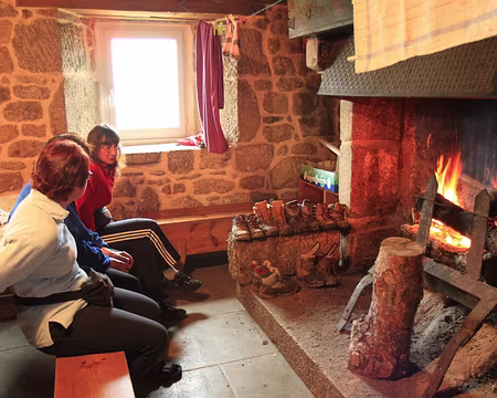 PXL225 Et l'omelette aux girolles !!! hum !