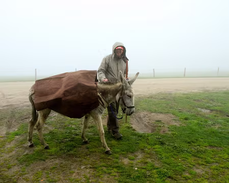 PXL231 va t'elle l'accepter ?