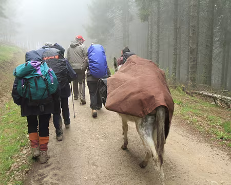 PXL234 nous rattrapons Mathias