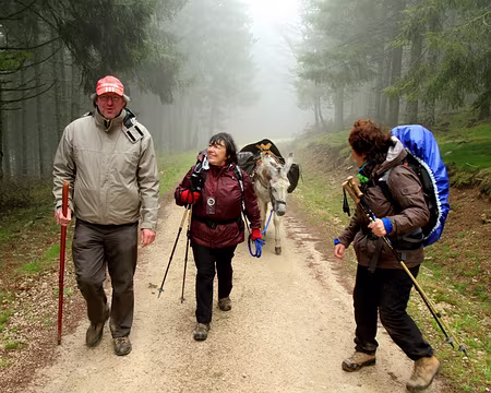 PXL235 il nous laisse conduire un peu