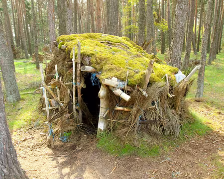 PXL288 un buron ? végétal alors !