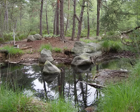 003 La mare Froideau