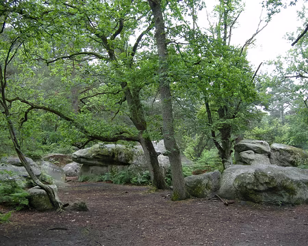 006 Peu avant le carrefour de l'Epine