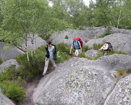 008 Chemin accidenté...