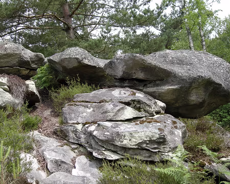 018 Escapade dans la forêt des Trois Pignons