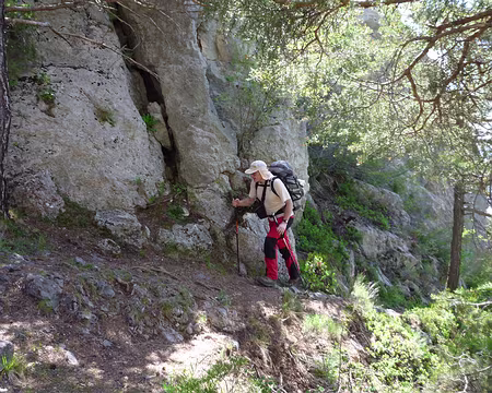 PXL006 Crêtes de la Rortie