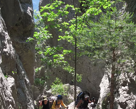 PXL009 Crêtes de la Rortie