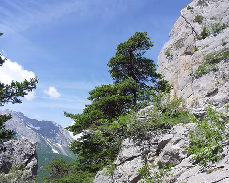 PXL010 Crêtes de la Rortie, passage à droite sur le rocher...