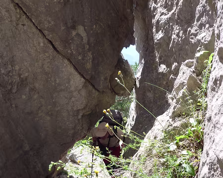 PXL011 Crêtes de la Rortie, c'est par là!