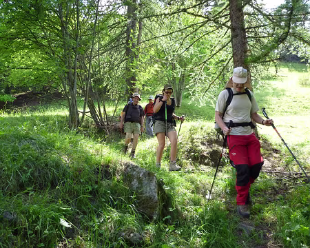 PXL031 Descente par les pentes de la Via Novo