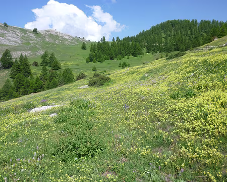 PXL043 Ascension des Têtes, traversée du plateau