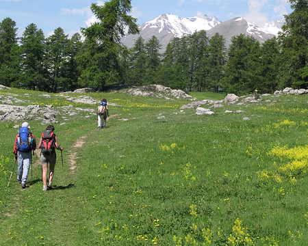 PXL044 Ascension des Têtes, le Plateau