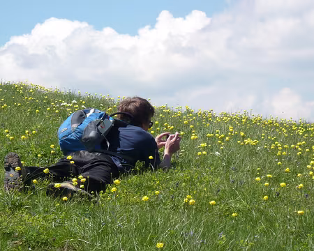 PXL008 Un Xavier couché dans les trolles
