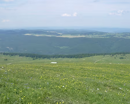 PXL011 Les Moussières, Bellecombe