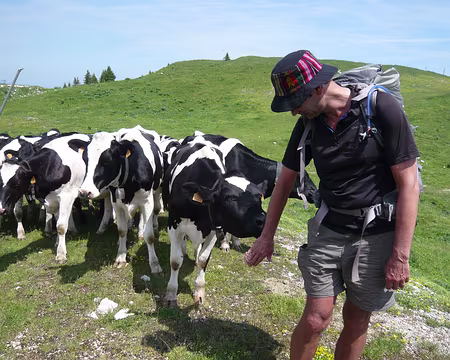 PXL012 Un coup de langue rapeuse remplacera la douche