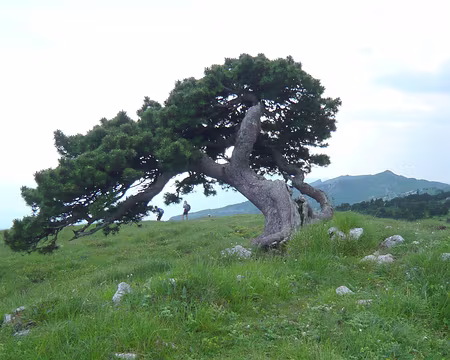 PXL014 Au Crêt de la Neige