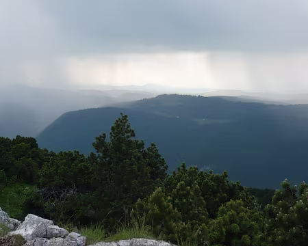 PXL016 ... nous ne trainerons pas !