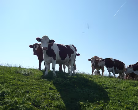 PXL040 Imperturbables !