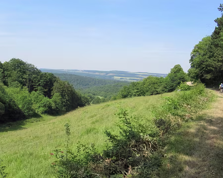 Photos Juin Juillet 2010 013_1