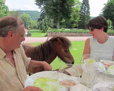 Photos Juin Juillet 2010 031