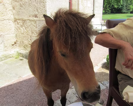 Photos Juin Juillet 2010 033