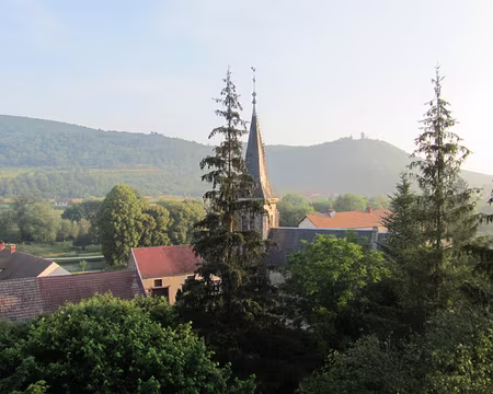 Photos Juin Juillet 2010 053