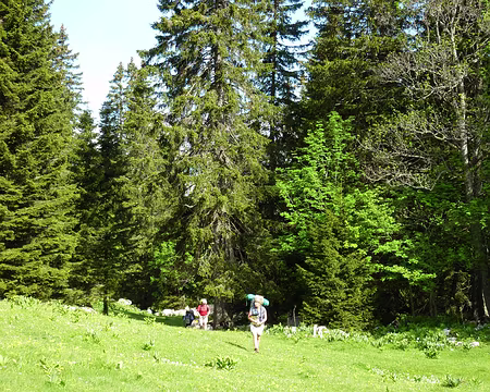 P1030242 Départ pour le Mont Tendre