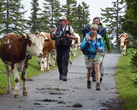 P1030272 on s'est fait des copines !