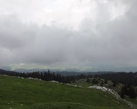 IMG_7522 Normalement depuis le mont Tendre (1679m), on devrait voir le Lac Léman dans cette direction...