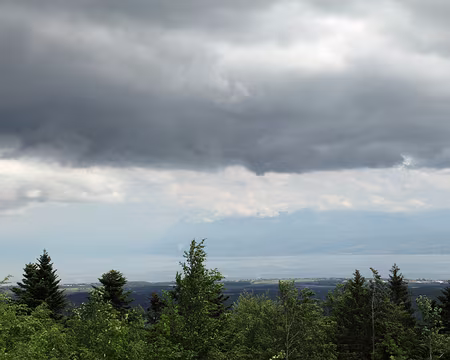 IMG_7621 Le lac Léman